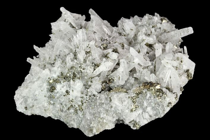 Gleaming Pyrite & Quartz Crystal Association - Peru #124444
